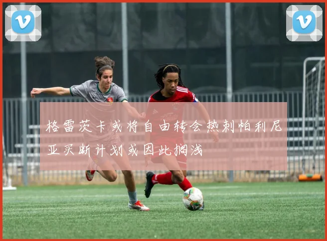 格雷茨卡或将自由转会热刺帕利尼亚买断计划或因此搁浅