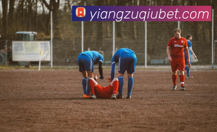 意昂体育平台生态图